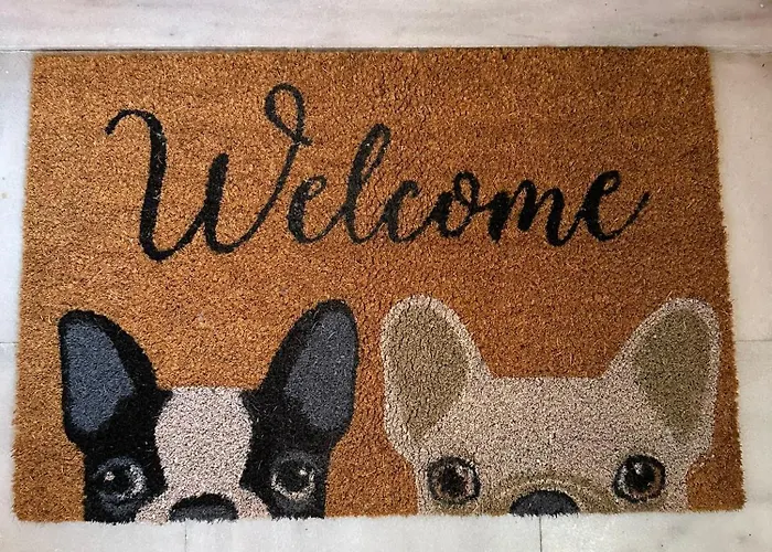 Lejlighed Eliasnest Clio Studio - Φωτεινό Και Ζεστό Στούντιο 2 Ατόμων Στο Κέντρο Της Καλαμάτας *